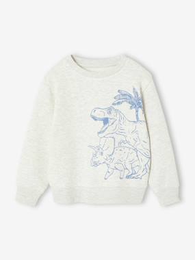 Fancy Sweatshirt for Boys - vertbaudet enfant Boys-Fancy Sweatshirt for Boys
