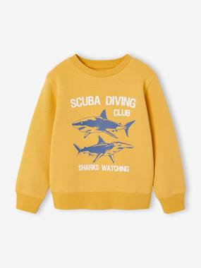 Fancy Sweatshirt for Boys - vertbaudet enfant Boys-Fancy Sweatshirt for Boys