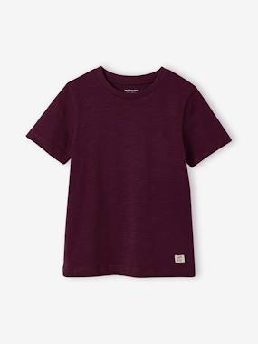 Short Sleeve T-Shirt, for Boys - vertbaudet enfant Boys-Short Sleeve T-Shirt, for Boys