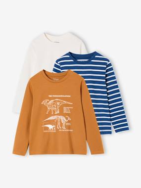 Lot de 3 t-shirts garçon - vertbaudet enfant Garçon-T-shirt, polo, sous-pull-Lot de 3 t-shirts garçon