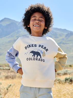 Round-neck sweatshirt with long sleeves for boys - vertbaudet enfant -Round-neck sweatshirt with long sleeves for boys