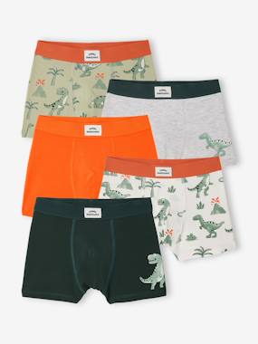 Lot 5 boxers dino - vertbaudet enfant -Lot 5 boxers dino