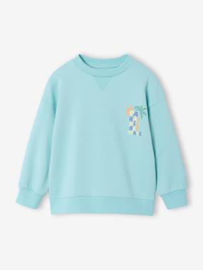 Round-neck long-sleeved sweatshirt for boys - vertbaudet enfant Boys-Round-neck long-sleeved sweatshirt for boys