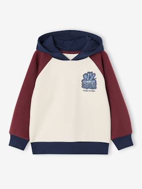 Sweat à capuche garçon - vertbaudet enfant Garçon-Sweat à capuche garçon