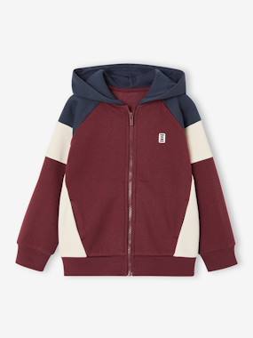 Sweat zippé garçon capuche coloblock - vertbaudet enfant Garçon-Sweat zippé garçon capuche coloblock