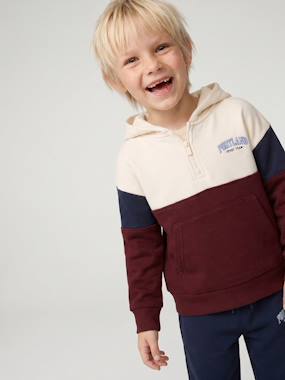 Sweat capuche garçon colorblock - vertbaudet enfant Garçon-Sweat capuche garçon colorblock