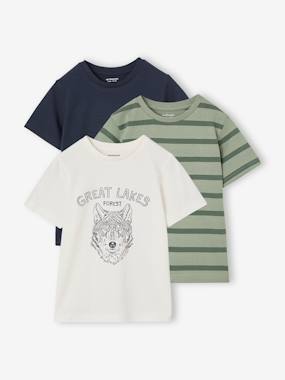 Lot 3 T-shirts manches courtes - vertbaudet enfant Garçon-Lot 3 T-shirts manches courtes