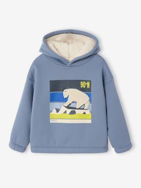 Sweat à capuche garçon - vertbaudet enfant Garçon-Sweat à capuche garçon