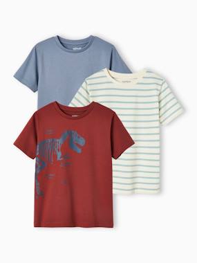 Pack of 3 Assorted T-Shirts for Boys - vertbaudet enfant -Pack of 3 Assorted T-Shirts for Boys