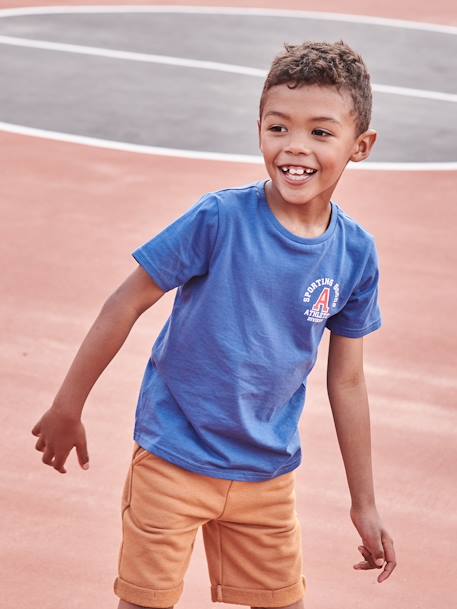 T-Shirt with Sports Motifs for Boys GREY MEDIUM MIXED COLOR+marl grey+royal blue - vertbaudet enfant 