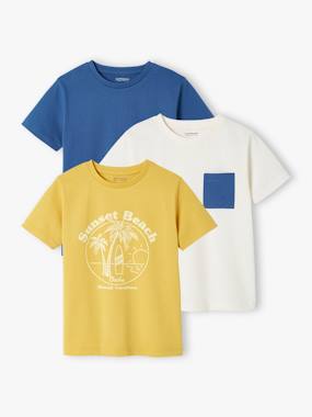 Pack of 3 Assorted T-Shirts for Boys - vertbaudet enfant -Pack of 3 Assorted T-Shirts for Boys