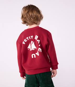 PETIT BATEAU children's sweatshirt - vertbaudet enfant -PETIT BATEAU children's sweatshirt