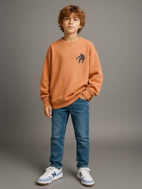 Pack of 2 Plain Long-Sleeved Sweatshirts for Boys, JONEN - vertbaudet enfant -Pack of 2 Plain Long-Sleeved Sweatshirts for Boys, JONEN