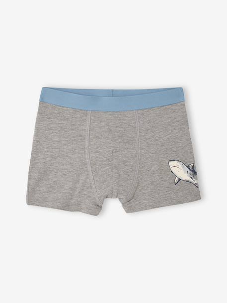 Pack of 5 shark print boxers for boys grey blue - vertbaudet enfant 