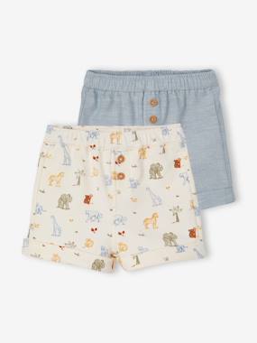 Pack of 2 baby shorts  - vertbaudet enfant