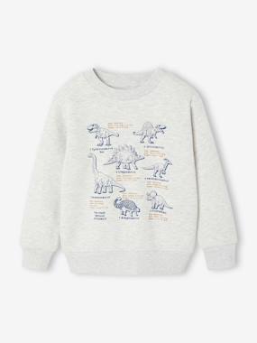 -Sweatshirt with front print for boys