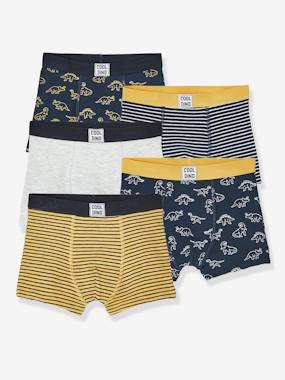 -Pack of 5 Stretch Boxer Shorts, Dino, for Boys