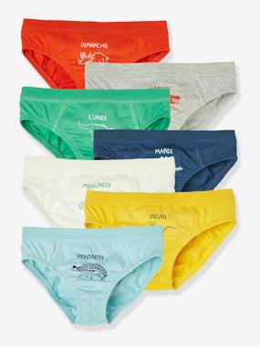 eco-friendly-fashion-Pack of 7 Dino Briefs, for Boys