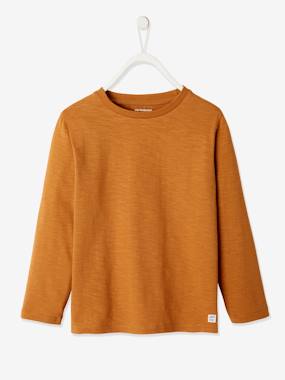 Boys-Tops-Long Sleeve Colour Top for Boys