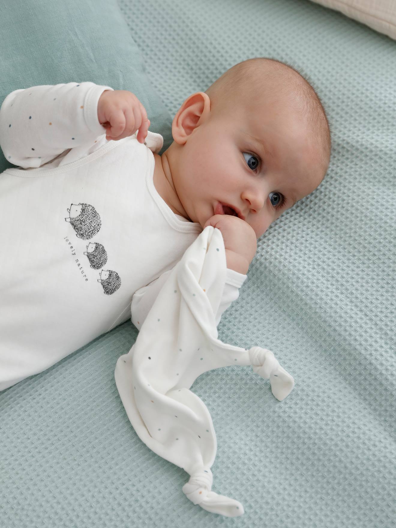 Body bébé 100% coton bio - de la naissance à 24 mois