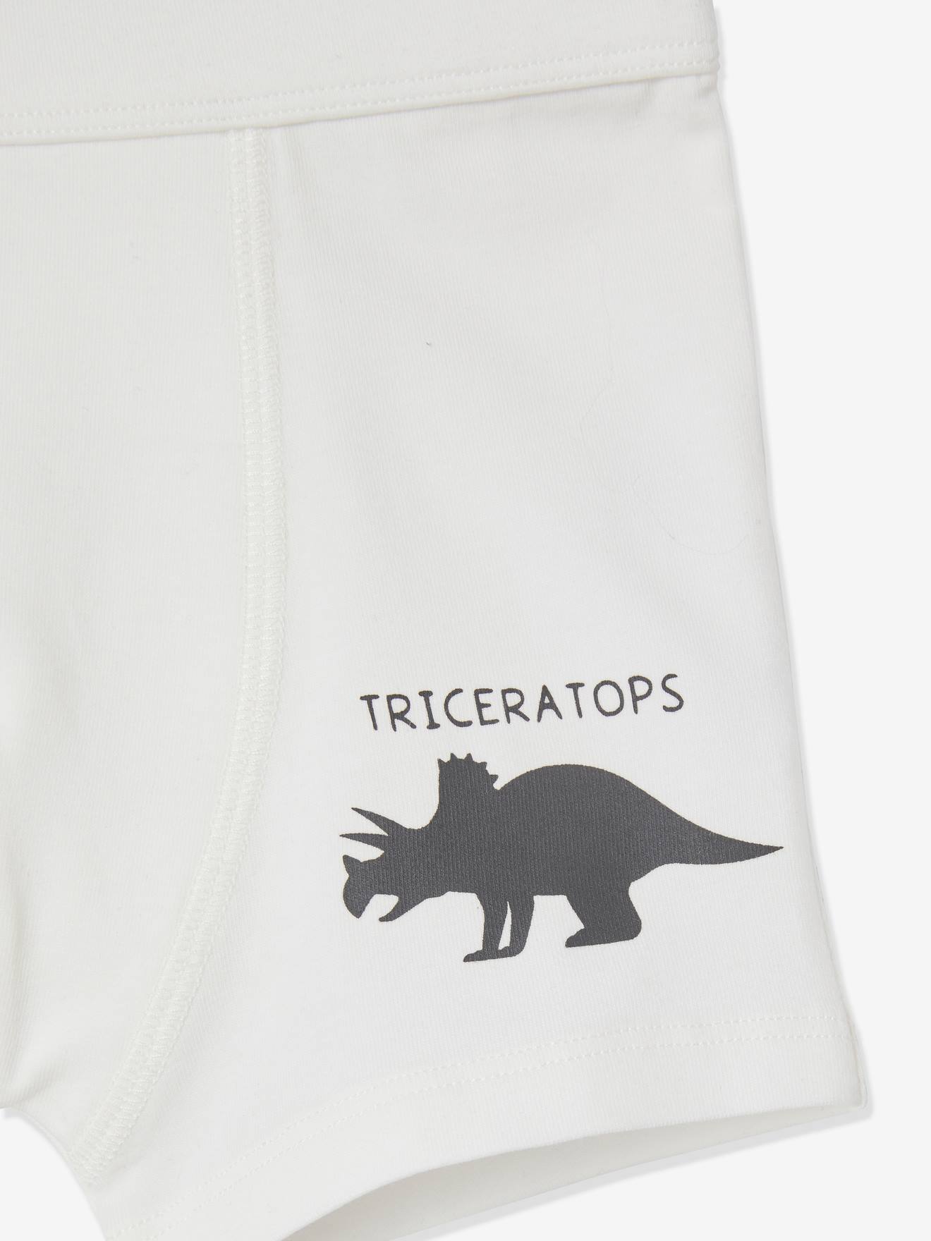 Boxer Uomo Originali A Forma Di Dinosauro E Drago, Mutande Morbide Elastiche, Traspiranti, Taglie M-XXL, Idea Regalo Divertente - 3
