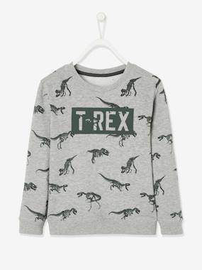 Sweatshirt with Dinosaur, for Boys  - vertbaudet enfant