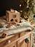 Box of Shape Sorting Animals, Green Forest - Wood FSC® Certified Multi - vertbaudet enfant 