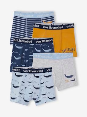 Boys-Pack of 5 Stretch Whale Boxer Shorts for Boys