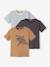 Pack of 3 Assorted T-Shirts for Boys BLUE MEDIUM SOLID WITH DESIGN+BROWN MEDIUM 2 COLOR/MULTICOL - vertbaudet enfant 