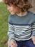 Sailor-Style Striped Jumper for Boys BROWN MEDIUM STRIPED+ecru+green+GREEN MEDIUM SOLID WITH DESIG - vertbaudet enfant 