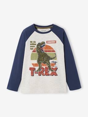 Boys-Top with Graphic Motif & Raglan Sleeves for Boys, Oeko-Tex®