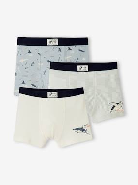 -Pack of 3 Stretch Boxers for Boys, Sea Animals
