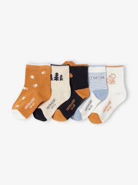 Baby-Socks & Tights-Pack of 5 Pairs of Nature Socks for Baby Boys