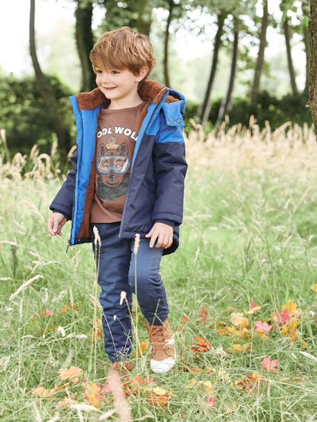 Top with Fun Motif for Boys BLUE DARK SOLID WITH DESIGN+BROWN MEDIUM SOLID WITH DESIGN+GREY LIGHT MIXED COLOR - vertbaudet enfant 
