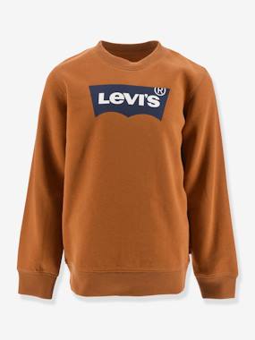 Garçon-Pull, gilet, sweat-Sweat garçon Batwing Crewneck de Levi's®