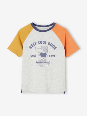 Boys-Colourblock Top with Shark Motif for Boys