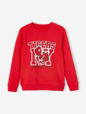 Boys-Cardigans, Jumpers & Sweatshirts-Sweatshirts & Hoodies-Sweatshirt with Round Neckline & Motif, for Boys