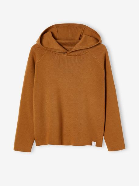 Pull à capuche garçon bleu+marine+ocre - vertbaudet enfant 