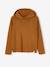 Pull à capuche garçon bleu+marine+ocre - vertbaudet enfant 