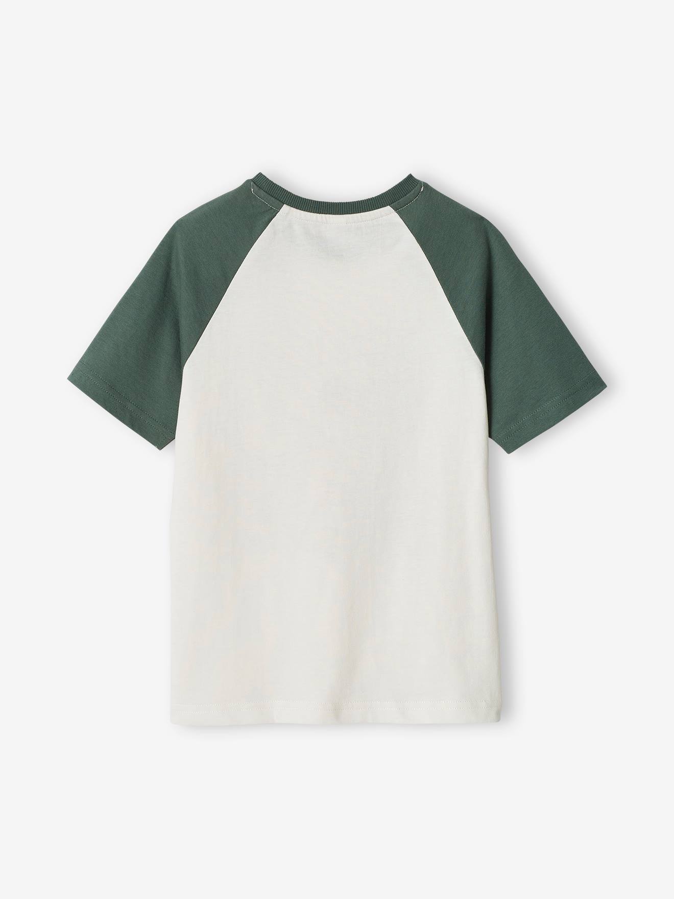 T-Shirt with Graphic Motif & Raglan Sleeves for Boys - sage