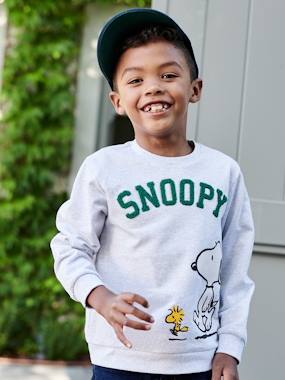 Boys-Cardigans, Jumpers & Sweatshirts-Sweatshirts & Hoodies-Snoopy Sweatshirt for Boys, by Peanuts®