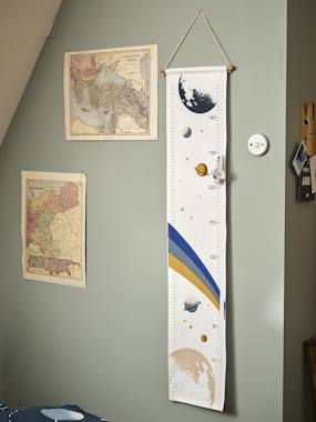 -Rocket Growth Chart in Fabric