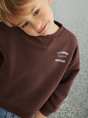 Boys-Cardigans, Jumpers & Sweatshirts-Sweatshirt with Fun Motif on the Back, for Boys