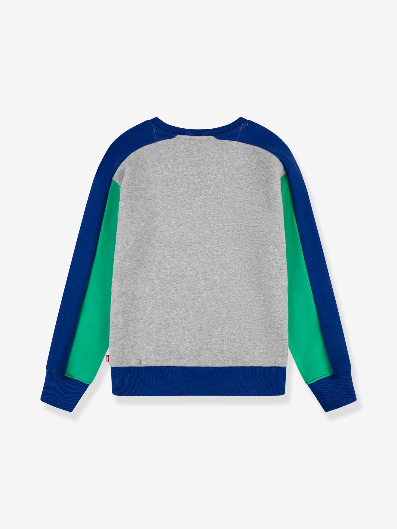 Sweatshirt deals blocky levis