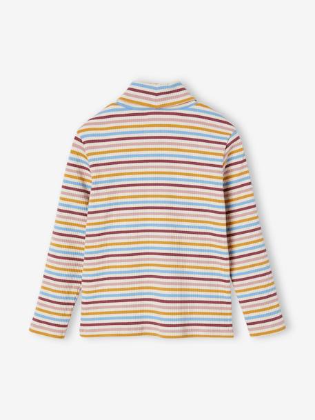 Polo Neck Top in Rib Knit for Girls multicoloured+striped blue - vertbaudet enfant 