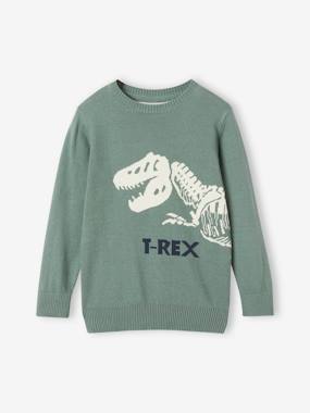 Boys-Cardigans, Jumpers & Sweatshirts-Fun Dino Jumper for Boys