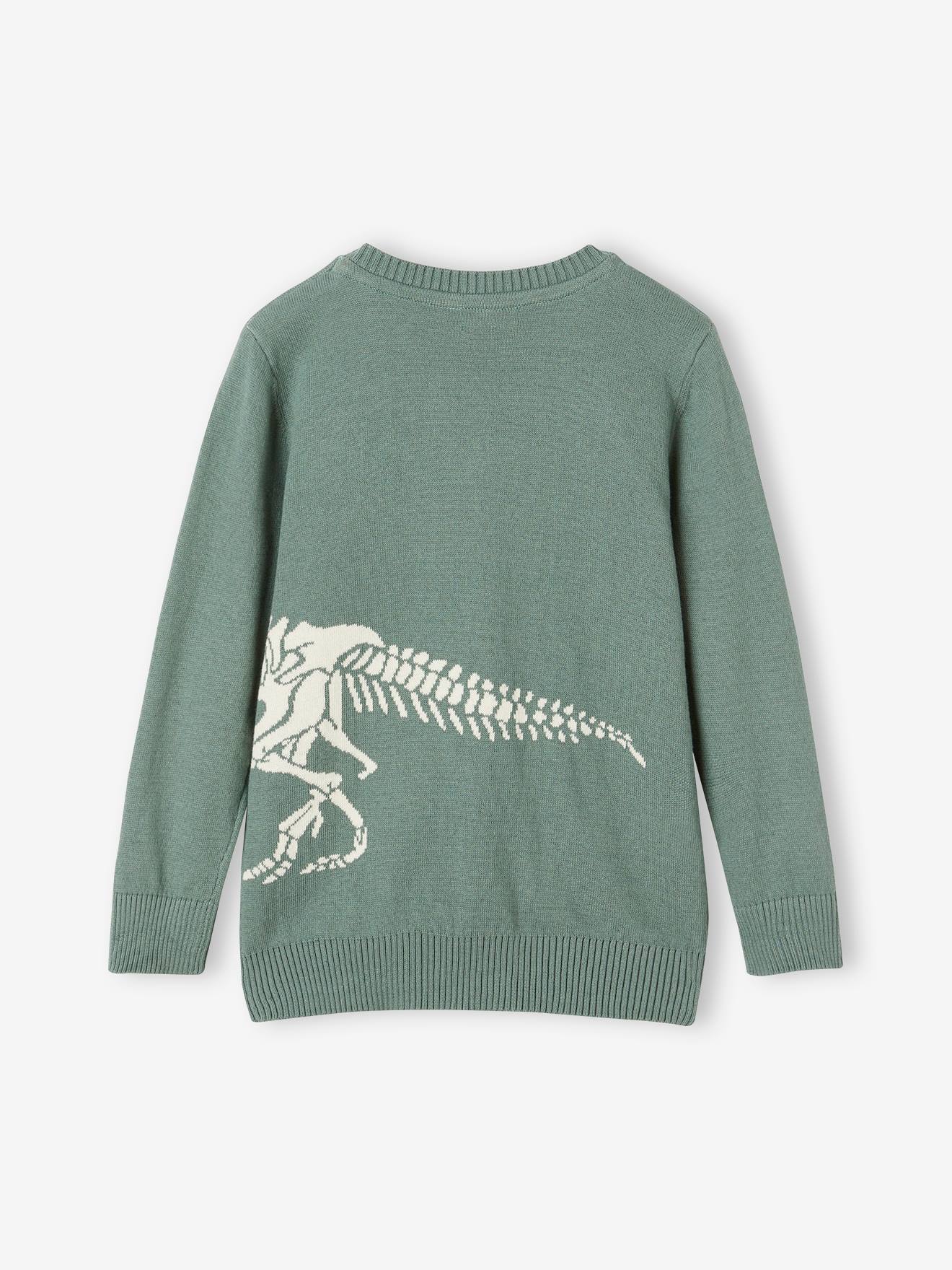 Green dinosaur sweater hot sale