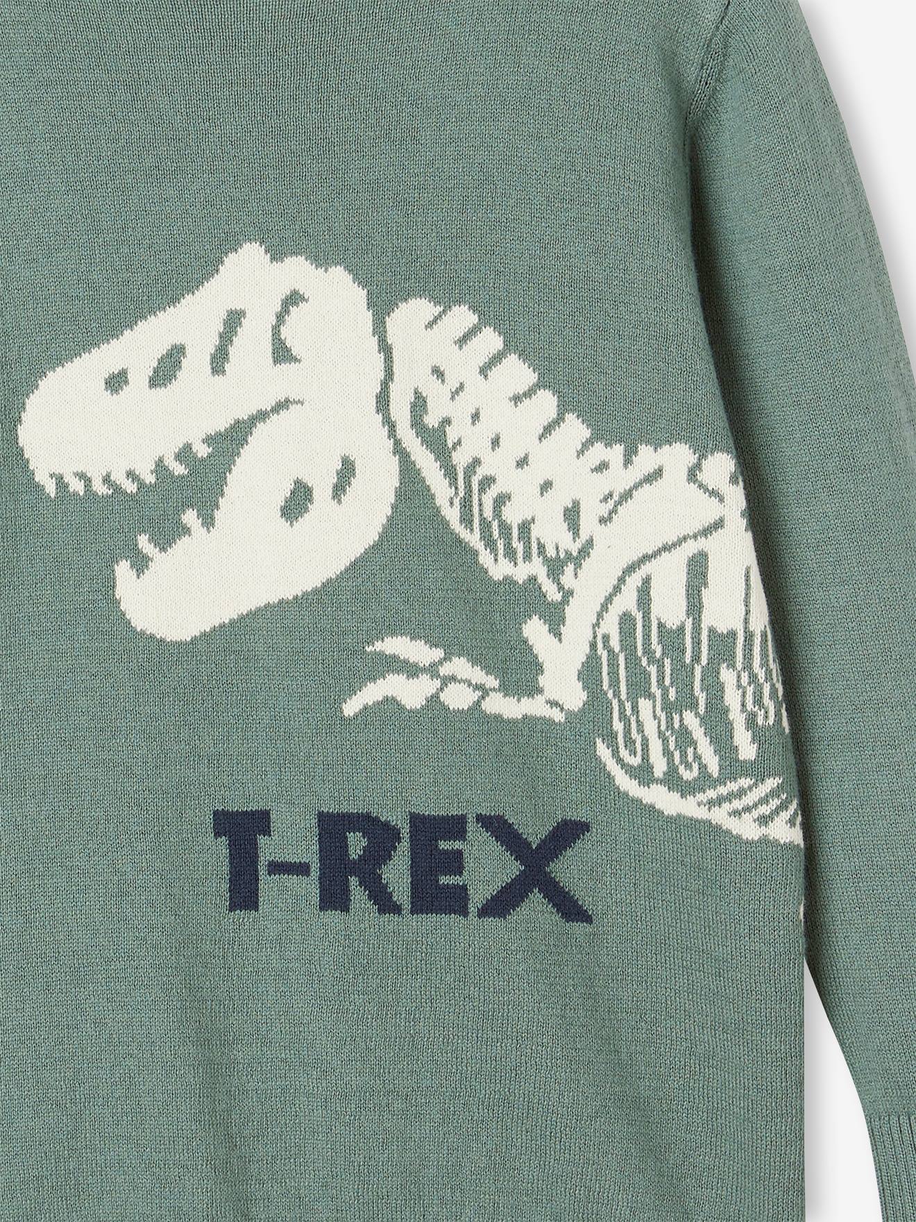 Dinosaur jumper for discount adults