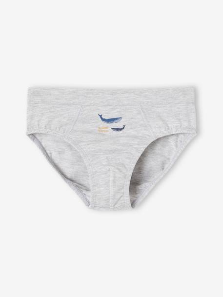 Lot de 7 slips stretch baleines garçon en coton bio bleu ciel - vertbaudet enfant 