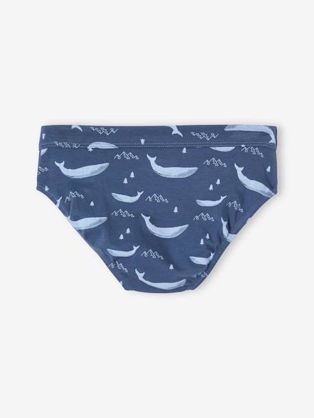 Lot de 7 slips stretch baleines garçon en coton bio bleu ciel - vertbaudet enfant 